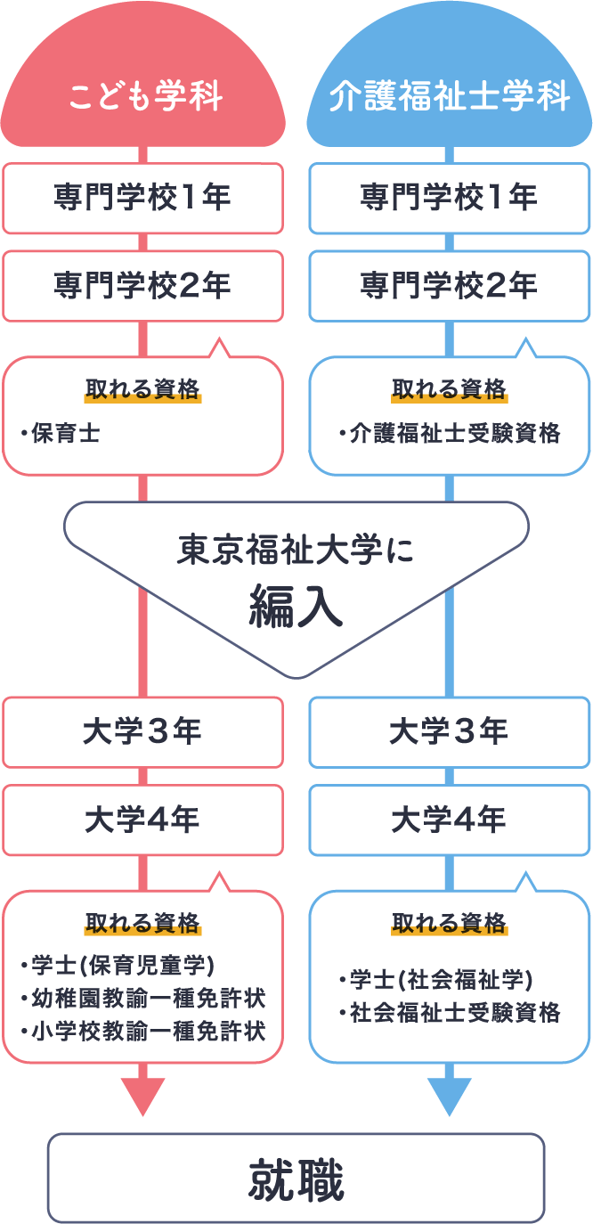 大学 に 編入 できる 専門 学校