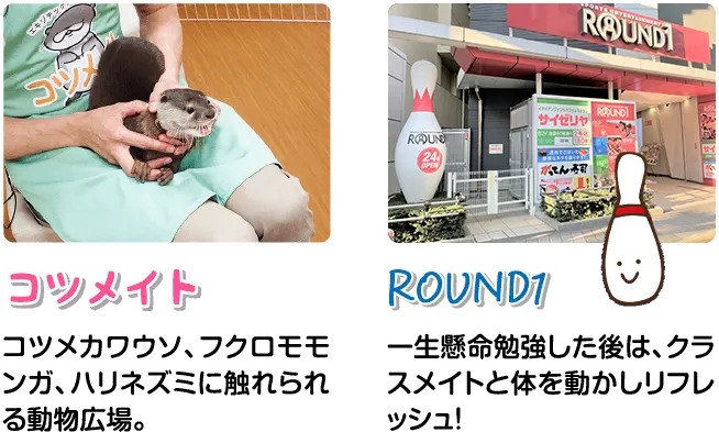 コツメイト　ROUND1